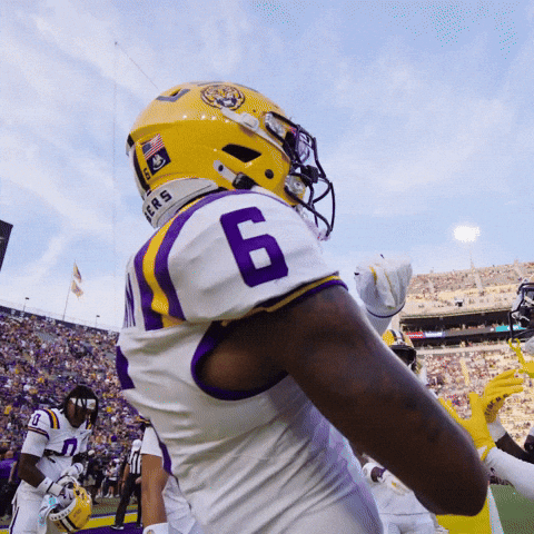 College Football Dancing GIF by LSU Tigers