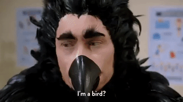 season 5 episode 12 GIF by Workaholics