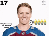 Nhl Avalanche GIF