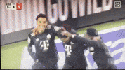 Fc Bayern GIF