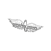 Casi Angeles Sticker by BIGI_TV