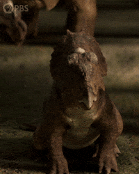 Walking With Dinosaurs Baby GIF by PBS