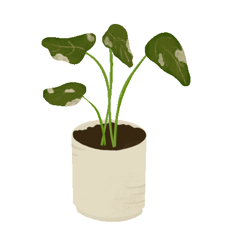 Plant Sticker