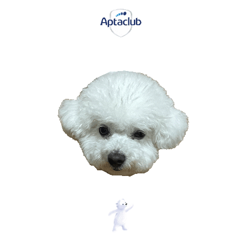 뚱 Sticker by AptaclubKR