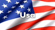 United States Usa GIF