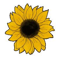 Kbautistaart fall flowers yellow sunshine Sticker