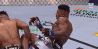 Ufc Fight Punches GIF