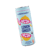 drinkwildwonder organic lemon ginger gut health Sticker