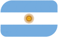 World Cup Football GIF