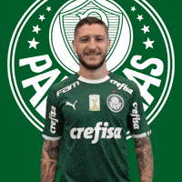 Palmeiras soccer clap high five futebol GIF