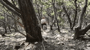Bike Oops GIF by Pit Viper