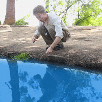 therainbowbridge hello hi water hey GIF