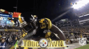 Pittsburgh Steelers Football GIF by NFL