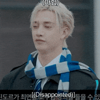 Stray Kids Chris GIF