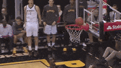 uwm GIF by Kayla Schaffer