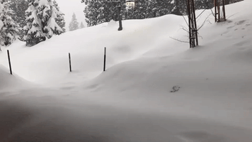 Sierra Nevada Mountains Under 'Extreme' Avalanche Warning After Heavy Snow