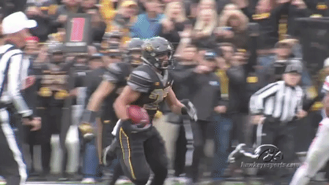 hawks GIF by University of Iowa Hawkeyes Athletics