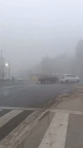 Dense Fog Lowers Visibility in Delhi