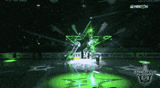 ice hockey GIF by NHL