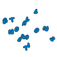 Motion Conference M23 Sticker by Church of the Highlands