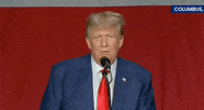 Donald Trump GIF by GIPHY News