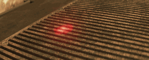 wall-e discovery GIF by Disney Pixar