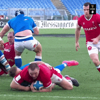 Wales Rugby GIF by Guinness Six Nations