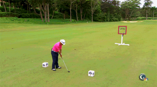 Golf Fail GIF
