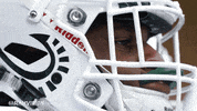 Csu Rams GIF by Colorado State Rams