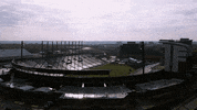 Black And Gold Boilermakers GIF by Purdue University