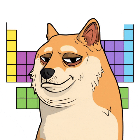 Shiba Inu Dog GIF by Doge Pound