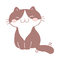 elistorycriativo gatinha felinos elistorycriativo gatinho cat cara felino Sticker