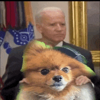 I Love You Kiss GIF