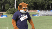 csucougars cody cougar GIF