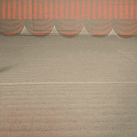 Viking Beard GIF by THE BEARD STRUGGLE