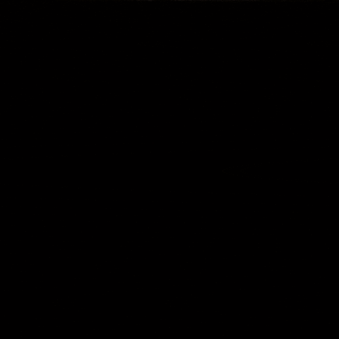 Football Sport GIF by Washington Commanders