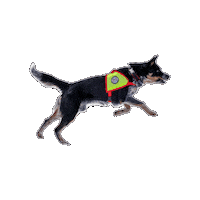 Rettungshund Sticker by Österreichische Rettungshundebrigade