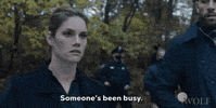Working Hard Cbs GIF by Wolf Entertainment