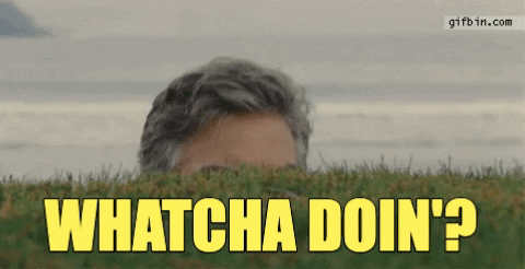 Whatcha Doin GIF by swerk