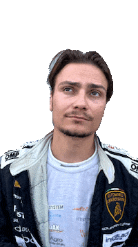 Zaruba Sticker by Buggyra Racing