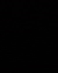 Texas GIF by Respective