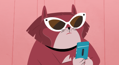 Hold On Cats GIF by Kitty Is Not A Cat