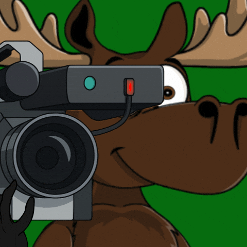 Recording Camera Man GIF by DoYouMoose