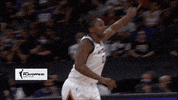 Wnba Playoffs Sport GIF by WNBA