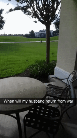 War Husband GIF