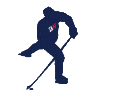 Ice Hockey Sticker by Sara Kay Graphic Designs