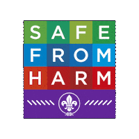 Scout Sticker by World Scouting