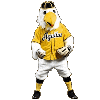 Santo Domingo Play Sticker by Franck Arnel