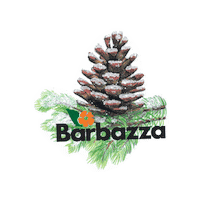Pine Tree Christmas Sticker by Barbazza Garden