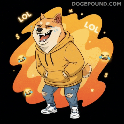 Happy Shiba Inu GIF by Doge Pound